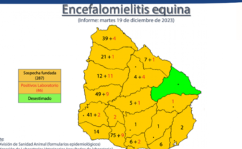 Son 46 los casos confirmados de encefalomielitis equina en Uruguay