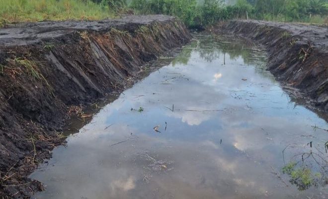 El intendente Lima se refirió a las labores de limpieza de arroyos y cañadas en Salto