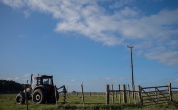 Hasta el 31 de marzo rige la emergencia agropecuaria para el sector hortifrutícola en todo el país