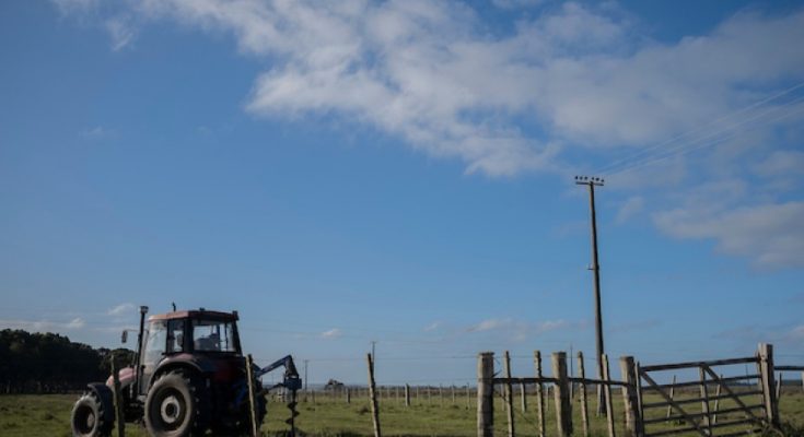 Hasta el 31 de marzo rige la emergencia agropecuaria para el sector hortifrutícola en todo el país