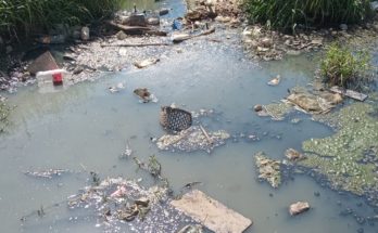 Edil Marziotte solicita mejora en canales de agua donde proliferan mosquitos