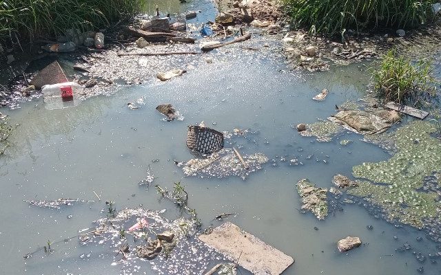 Edil Marziotte solicita mejora en canales de agua donde proliferan mosquitos