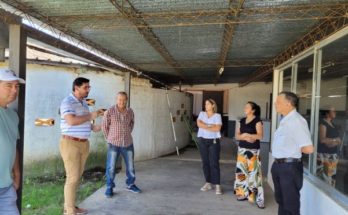 Carnaval 2024: Este domingo habrá un escenario con espectáculos artísticos en el barrio Artigas