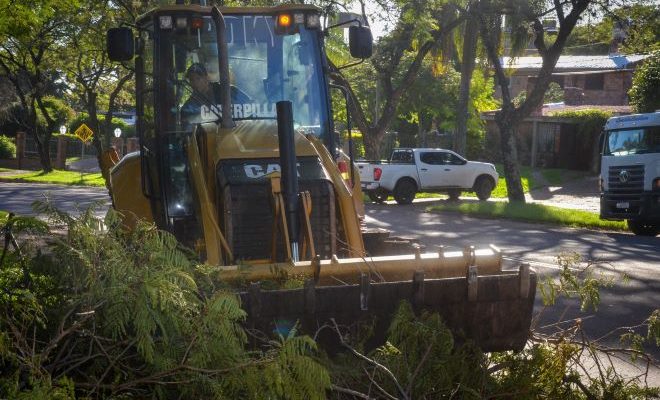 Lucha contra el dengue: Descacharrización realizada en la zona sur de la ciudad Lucha contra el dengue: Descacharrización realizada en la zona sur de la ciudad
