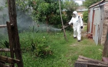 Dengue: se declaró la emergencia sanitaria y epidemiológica en Concordia