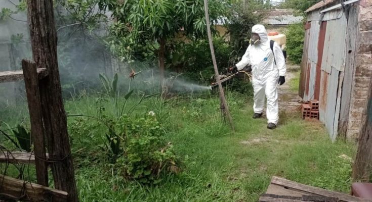 Dengue: se declaró la emergencia sanitaria y epidemiológica en Concordia