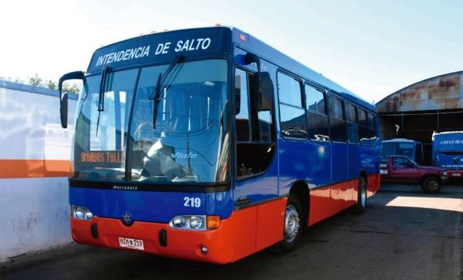 Recuerdan los horarios de las líneas del transporte urbano de pasajeros de lunes a domingo