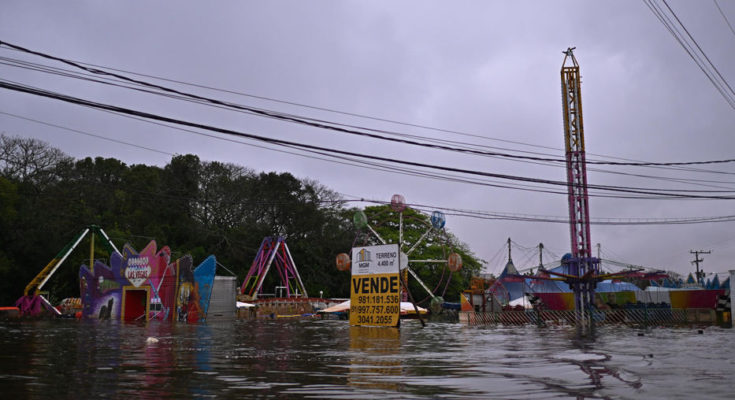 Luego de trágicas inundaciones en Brasil, aparecieron pirañas en calles de Porto Alegre