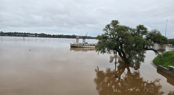 En Salto aumentó a 521 el número de personas desplazadas por la creciente del río Uruguay