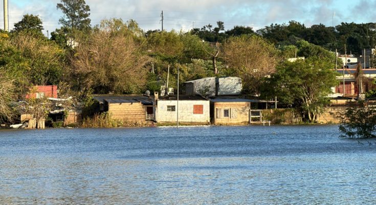 En Salto, el número de personas desplazadas por la creciente del río Uruguay ha aumentado a 591