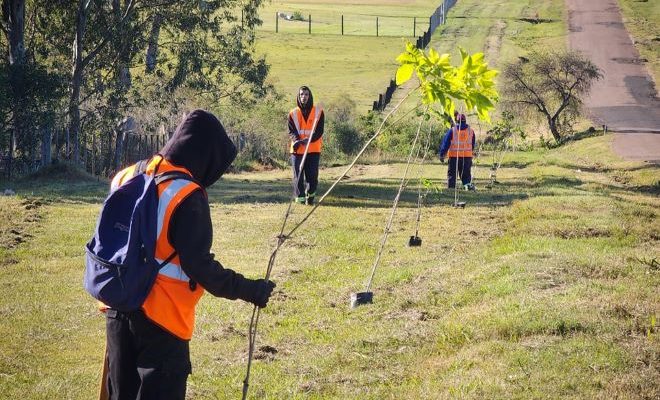 Intendente Lima y Director de Servicios Públicos destacan plantación de mil árboles en avenidas de Salto