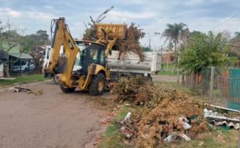 Levantamiento de podas y basura acumulada: Se retiraron 101 viajes de camiones de la Zona 3