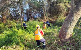 Intendencia de Salto trabaja para mejorar el entorno urbano en la Costanera Tomás Berreta