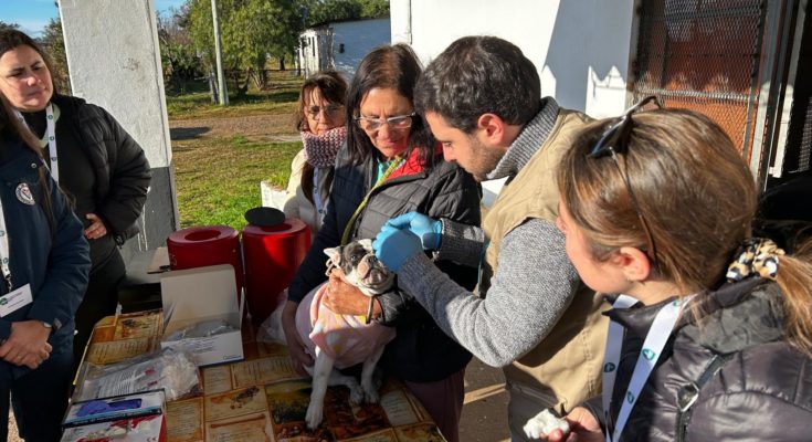 Educación y testeos para la tenencia de mascotas en Rincón de Valentín