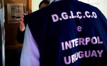 Se incautaron 70 animales durante un procedimiento liderado por Interpol en aguas del Río Uruguay