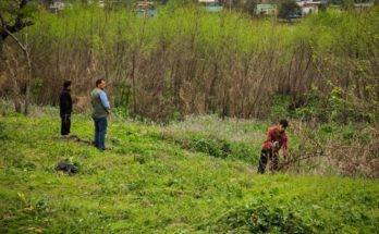 Limpieza y mantenimiento en predio detrás del ex Zoológico Municipal