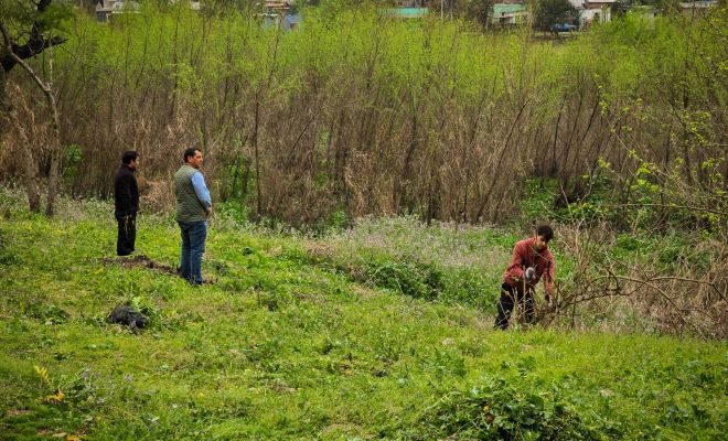 Limpieza y mantenimiento en predio detrás del ex Zoológico Municipal