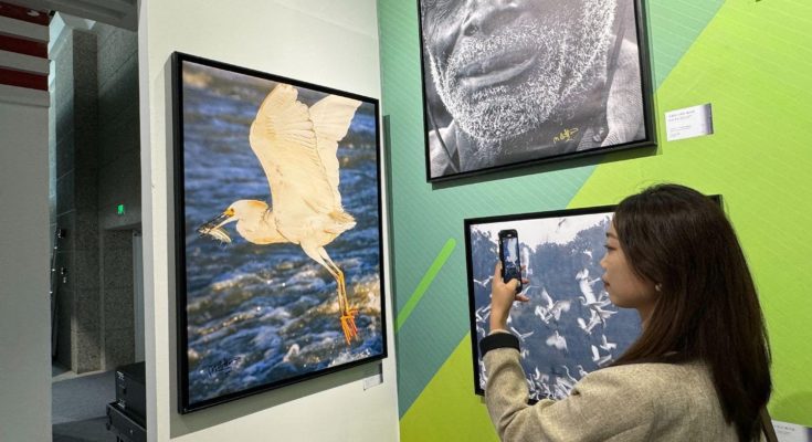 Muestra de intercambio de arte fotográfico China-Uruguay: Luz del Norte y del Sur