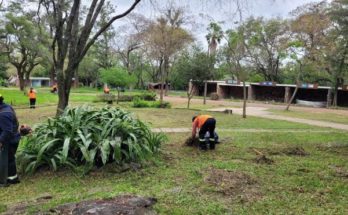 Andrés Lima: Avanzan trabajos de recuperación y mantenimiento en el Parque Harriague