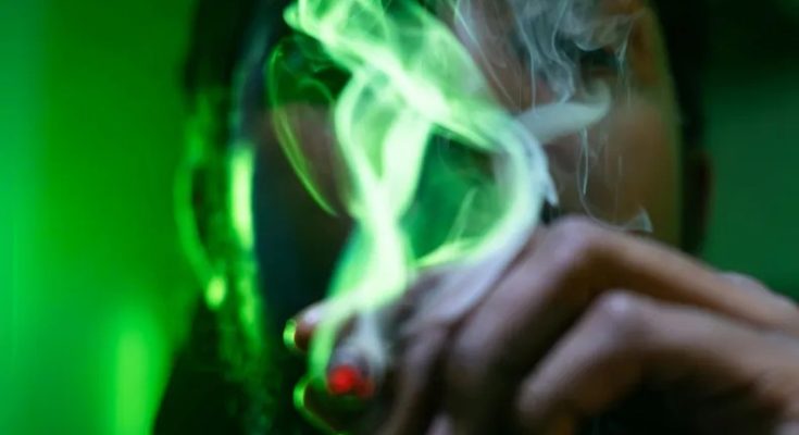 Ventas récord de marihuana en Uruguay mientras expertos advierten sobre efectos cerebrales