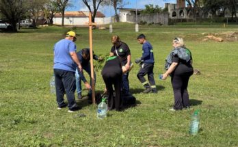 Andrés Lima subraya avances en la plantación de árboles nativos para embellecer la ciudad