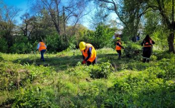 Intendente Lima destacó trabajos de limpieza y mantenimiento de espacios públicos en barrio Ceibal