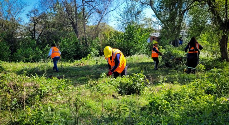 Intendente Lima destacó trabajos de limpieza y mantenimiento de espacios públicos en barrio Ceibal