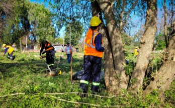 Intendente Lima destacó trabajos de limpieza en barrio Ceibal Sur