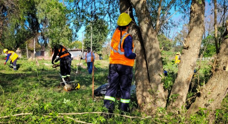 Intendente Lima destacó trabajos de limpieza en barrio Ceibal Sur