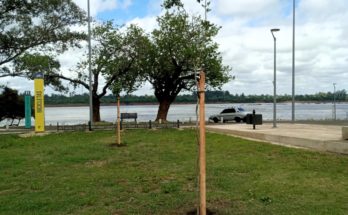 Intendente Andrés Lima destaca el trabajo de Espacios Verdes en la Costanera Norte