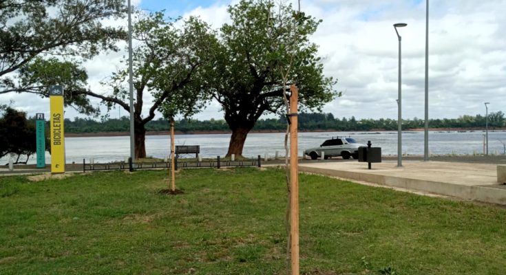 Intendente Andrés Lima destaca el trabajo de Espacios Verdes en la Costanera Norte