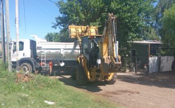 Intendente Lima: Se retiraron 62 viajes de camiones de poda y basura acumulada en Zona 1