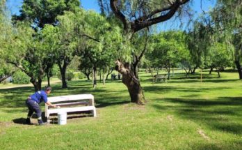 Intendente Andrés Lima anuncia avances en las mejoras y mantenimiento del Parque del Lago