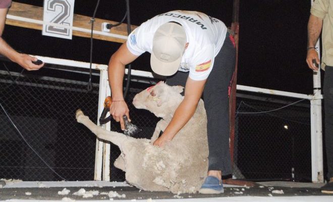 Se realizó el Cuarto Campeonato de Esquila en Rincón de Valentín