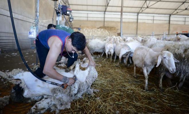 Rincón de Valentín será sede del Cuarto Campeonato de Esquila