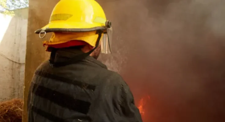 Incendio arrasó 10 hectáreas en Salto y obligó a desplegar tres dotaciones de Bomberos