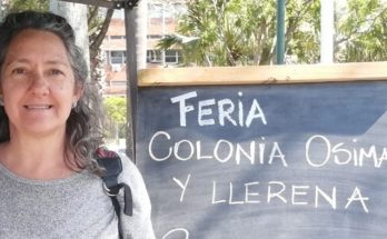 Evaluación positiva de la feria tradicional de la Colonia Osimani y Llerena en 2024