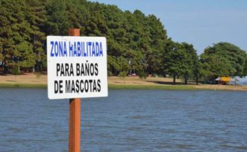 La Intendencia de Salto inaugura zona para el baño de mascotas en el Parque del Lago