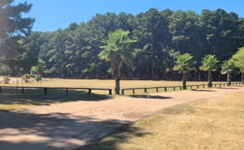 Intendencia de Salto invita a disfrutar de un espectáculo al aire libre en el Parque del Lago