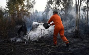 Riesgo de incendio en todo el país: alerta roja por elevadas temperaturas