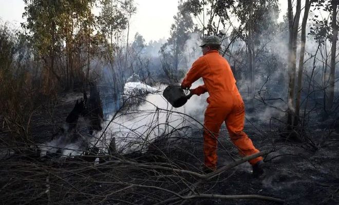 Riesgo de incendio en todo el país: alerta roja por elevadas temperaturas