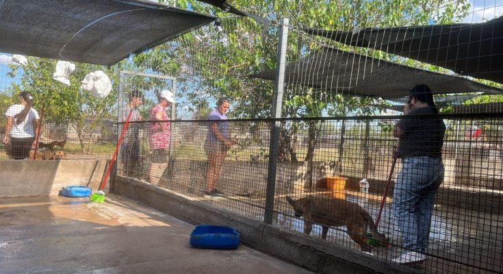 PRODEA lanza campaña para reparar su muro e invita a colaborar