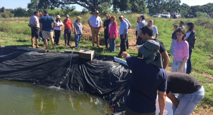 Proyecto de Acuicultura Caru/Dinara: Sembraron en la zona de Villa Constitución más de 1.500 alevines