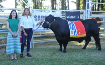 Viajan a China los tres toros obsequiados por Luis Lacalle Pou a Xi Jinping