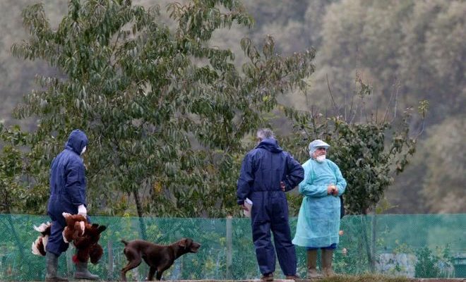 Murió en México la primera paciente humana con gripe aviar H5N1