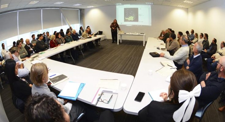 Picudo rojo: especialistas trabajan en protocolo nacional para combatir la plaga