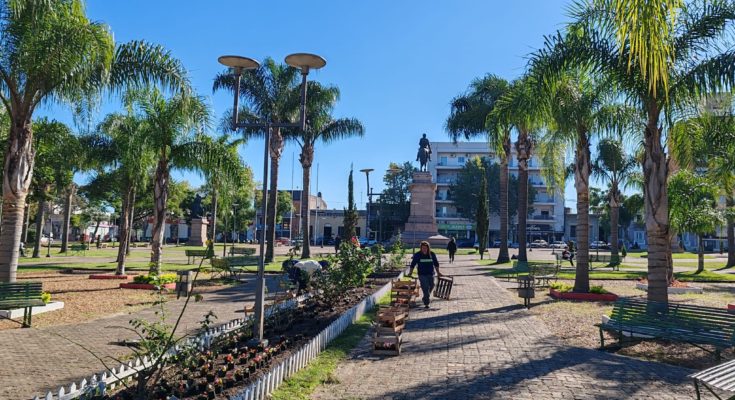 La Intendencia de Salto renueva floración en plazas emblemáticas de la ciudad