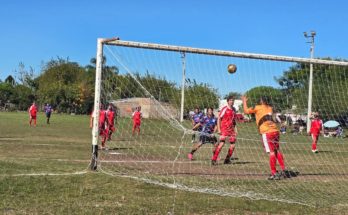 Resultados de la Liga de Fútbol Senior en sus 4 divisionales
