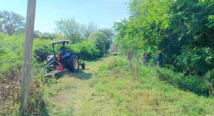Intendencia avanza con trabajos de limpieza en zona de vías férreas