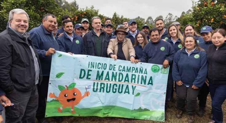 Presidente Orsi: Uruguay debe acompañar desarrollo del sector citrícola
